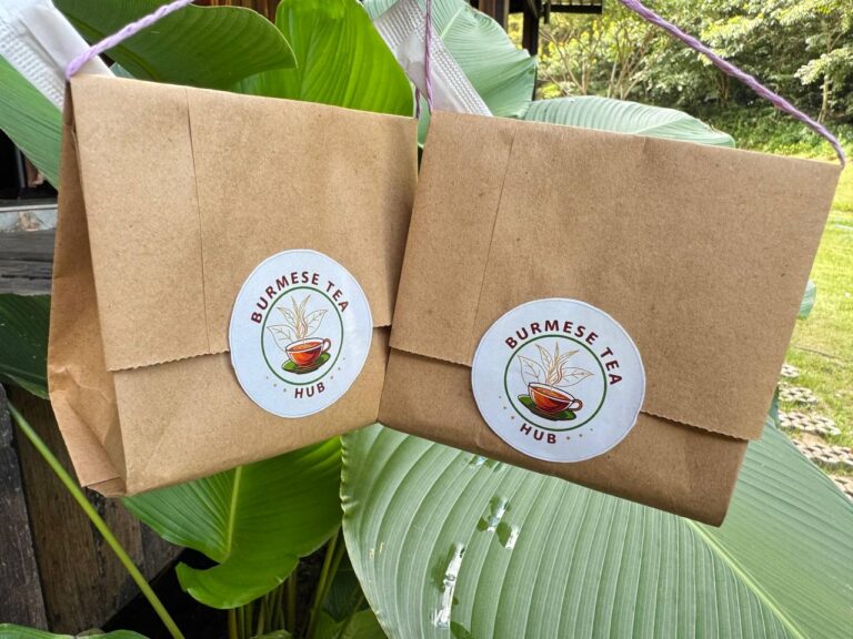 photo_41_2025-10-29_12-24-42